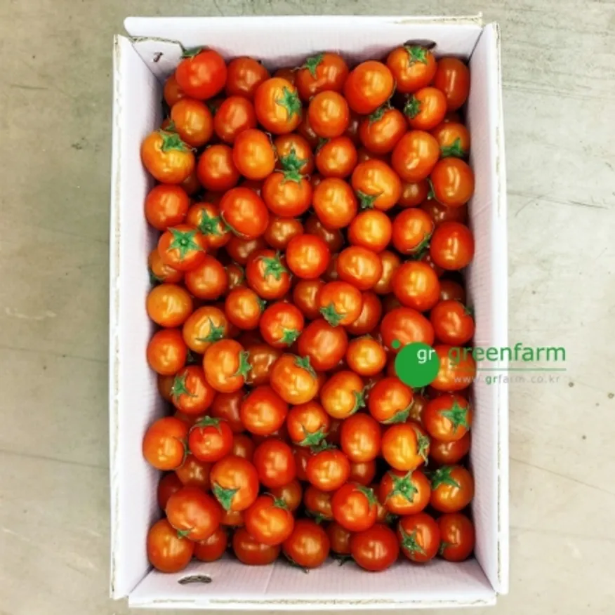 방울토마토 1box (5kg, 2~3번과) 이미지