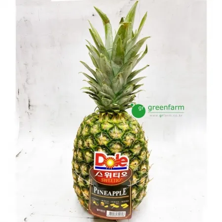 파인애플 1통(약2kg)