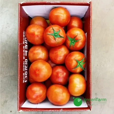 완숙토마토 1box(5kg, 1~2번사이즈)