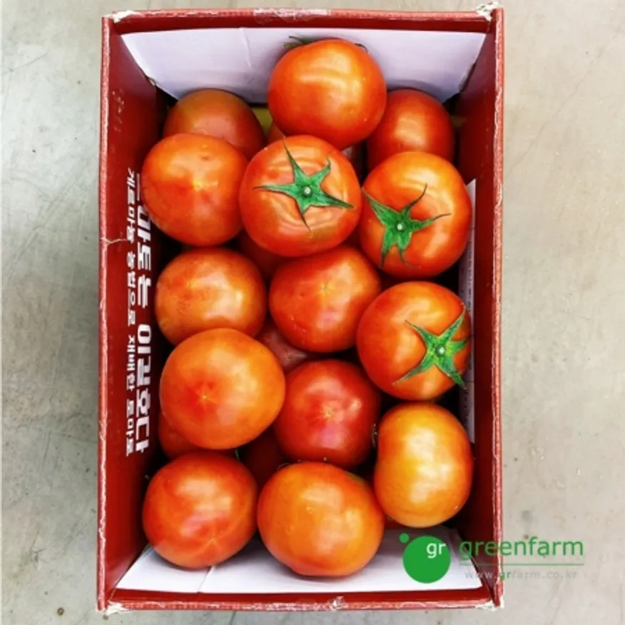 완숙토마토 1box(5kg, 1~2번사이즈) 이미지