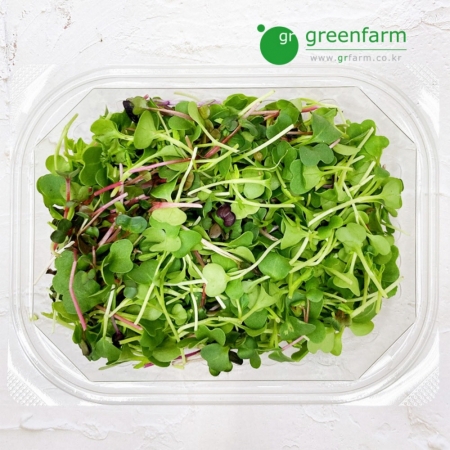 베이비채소(어린순)  50g 여린잎 어린순 새싹채소