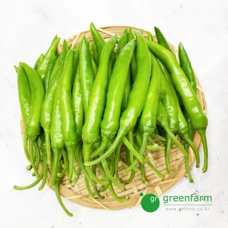 청양고추 500g