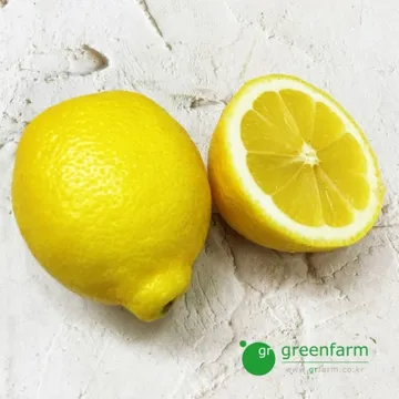 레몬 1개 - (약100g)