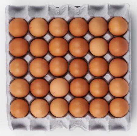 굿 알부자)계란(왕란) 1판(30구) / 농장직영