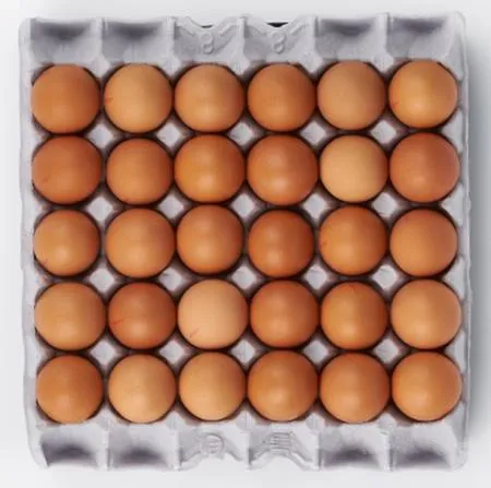 굿 알부자)계란(왕란) 1판(30구) / 농장직영