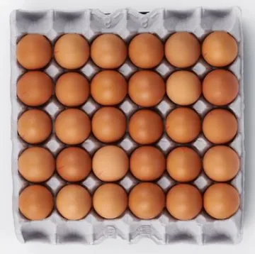 굿 정원)계란(특란) 1판(30구) / 농장직영