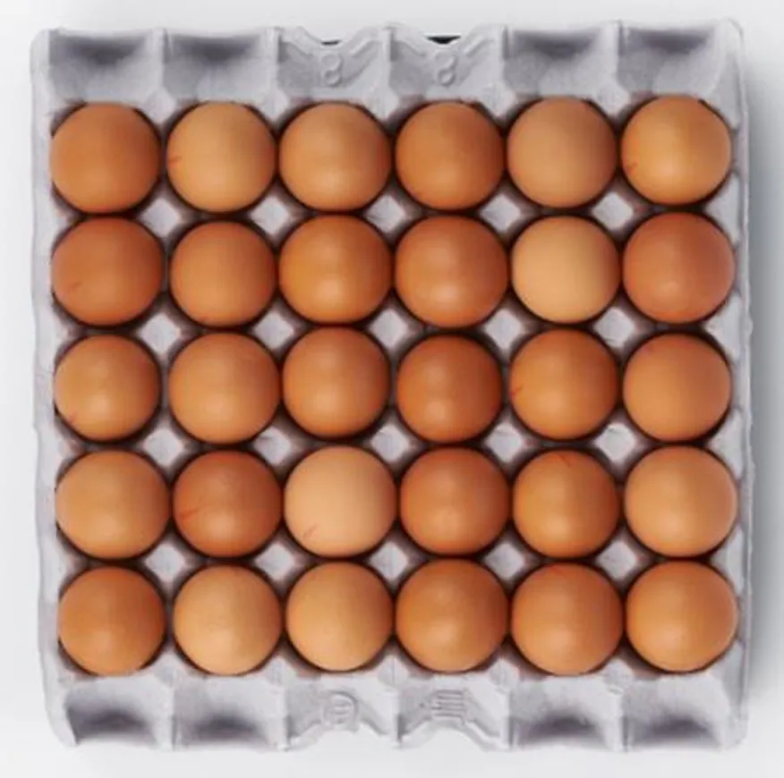 굿 정원)계란(특란) 1판(30구) / 농장직영 이미지