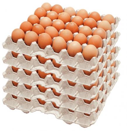 굿[5판묶음판매]정원)계란(중란) 1판(30구)*5 / 농장직영