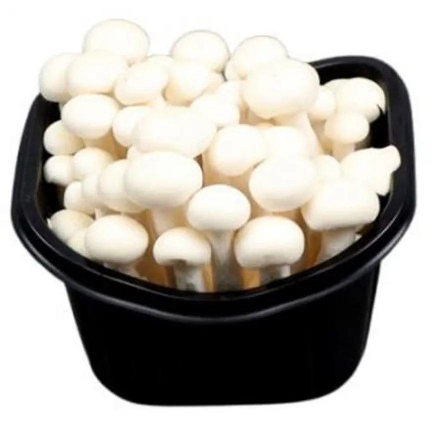 백만송이버섯 박스/150g 10개입 이미지