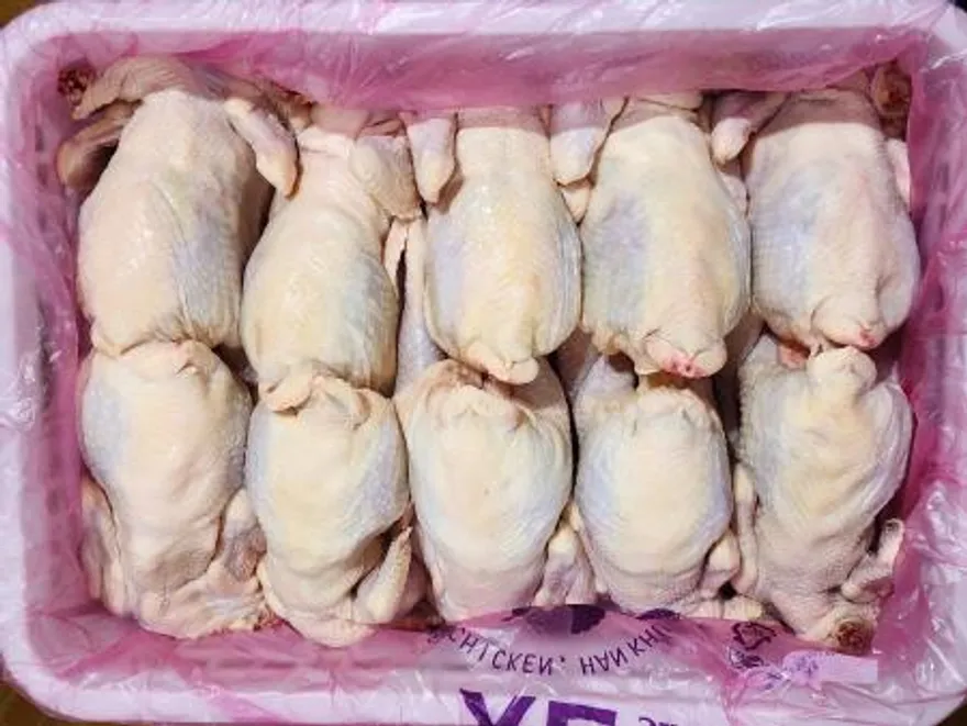 싱그린FS 국내산 생닭 성계 노계 1.5kg 이상 10마리 백숙용 닭육수용 일본라멘용 닭곰탕용 냉동(벌크) 특大 사이즈 이미지
