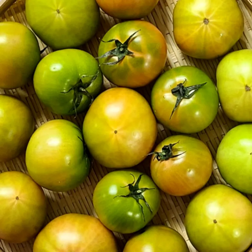 대저토마토 2kg(M) 이미지