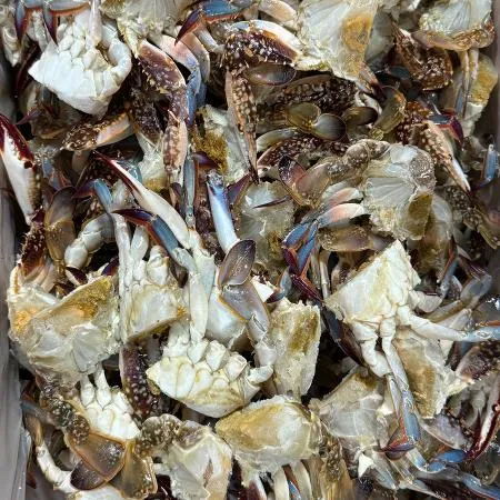 절단 손질 꽃게 10kg 국내산(태안) 1box/ 살이 꽉찬 특품! 이미지