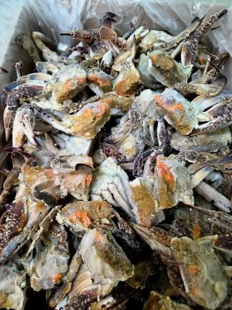 알절단 손질 꽃게 10kg 국내산(태안) 1box/ 살과 알이 꽉찬 특품!