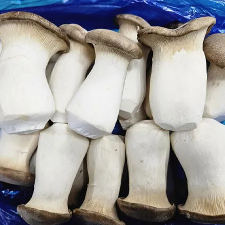 [스마일푸드]새송이 大 2kg 박스