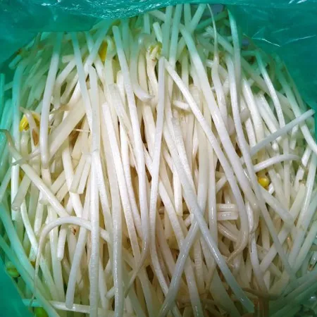 [스마일푸드]일자콩나물 3.5kg 박스