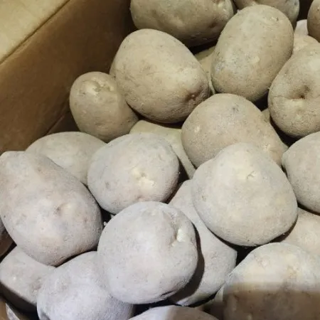[스마일푸드]감자 왕왕 국내산 20kg 박스