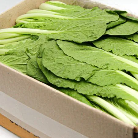 [스마일푸드]얼갈이  국내산 특 4kg
