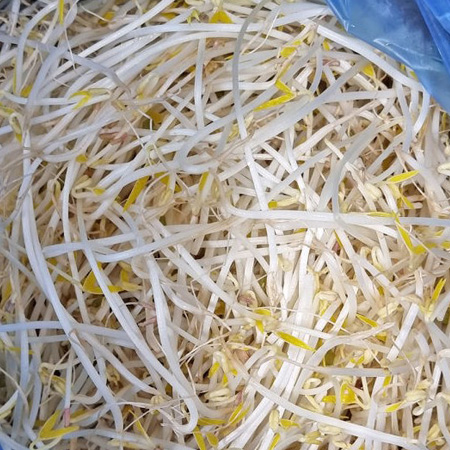 [스마일푸드]서부숙주 3.5kg 박스