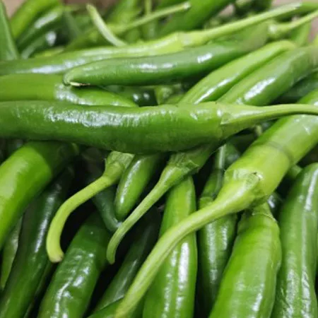 [스마일푸드]풋고추 국내산 1kg