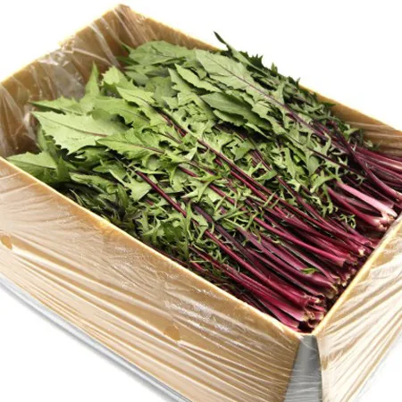 [스마일푸드]적치커리 국내산 특 2kg