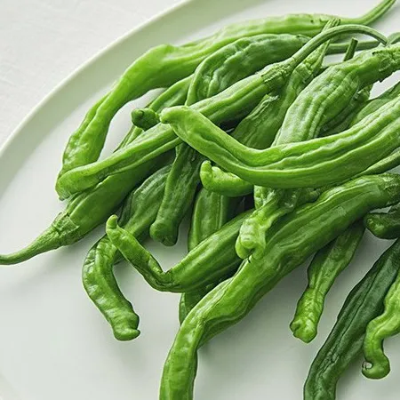 [스마일푸드]꽈리고추 국내산 특 1kg