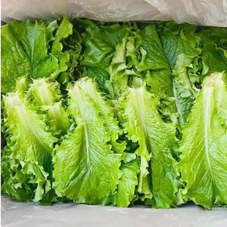 [스마일푸드]청상추 국내산 특 4kg