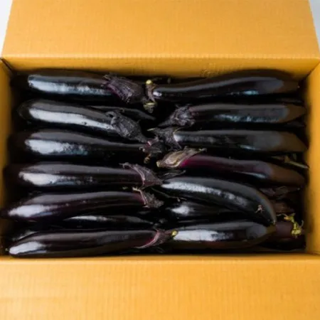 [스마일푸드] 가지 국내산 5kg 박스