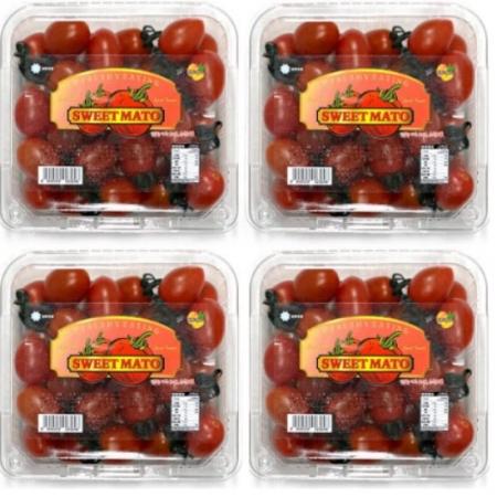 망고향 스테비아 방울토마토 레드스윗마토 2kg