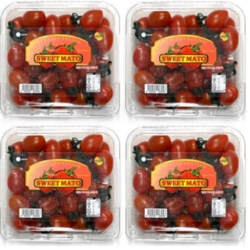 망고향 스테비아 방울토마토 레드스윗마토 2kg 이미지