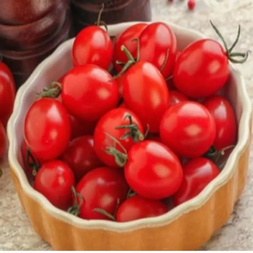 망고향 스테비아 방울토마토 레드스윗마토 2kg 이미지