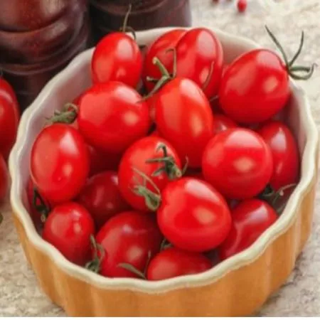 망고향 스테비아 방울토마토 레드스윗마토 2kg 이미지