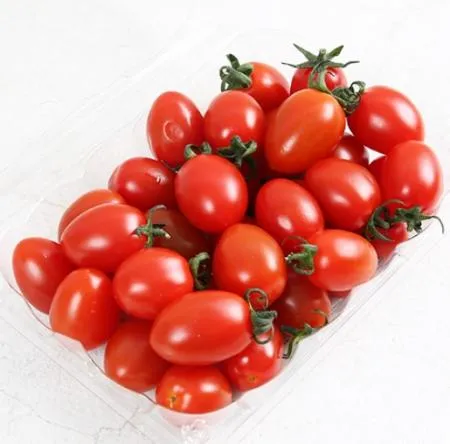 스테비아 단마토 레드 1kg (500g x 2팩) 이미지