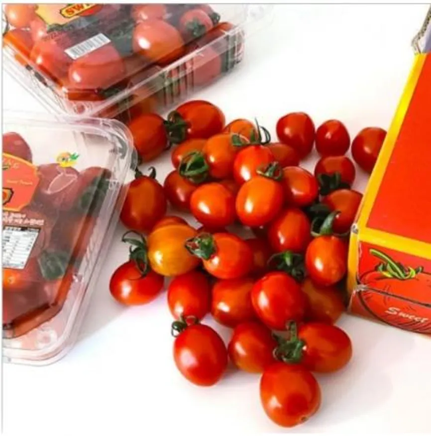 망고향 스테비아 방울토마토 레드스윗마토 2kg 이미지