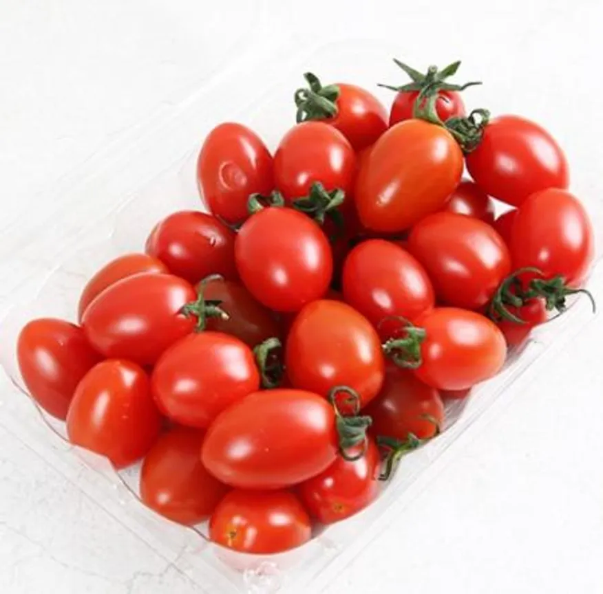스테비아 단마토 레드 2kg (500g x 4팩) 이미지