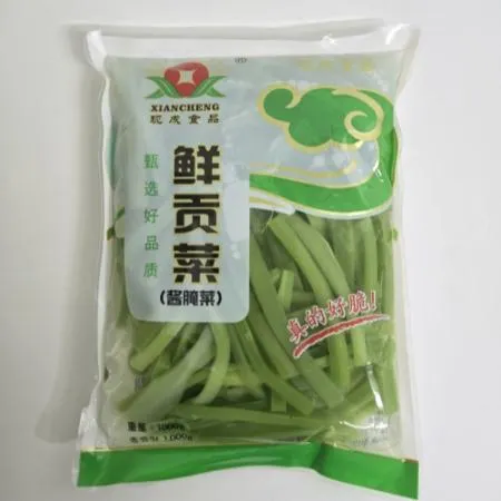 궁채 줄기상추 1kg