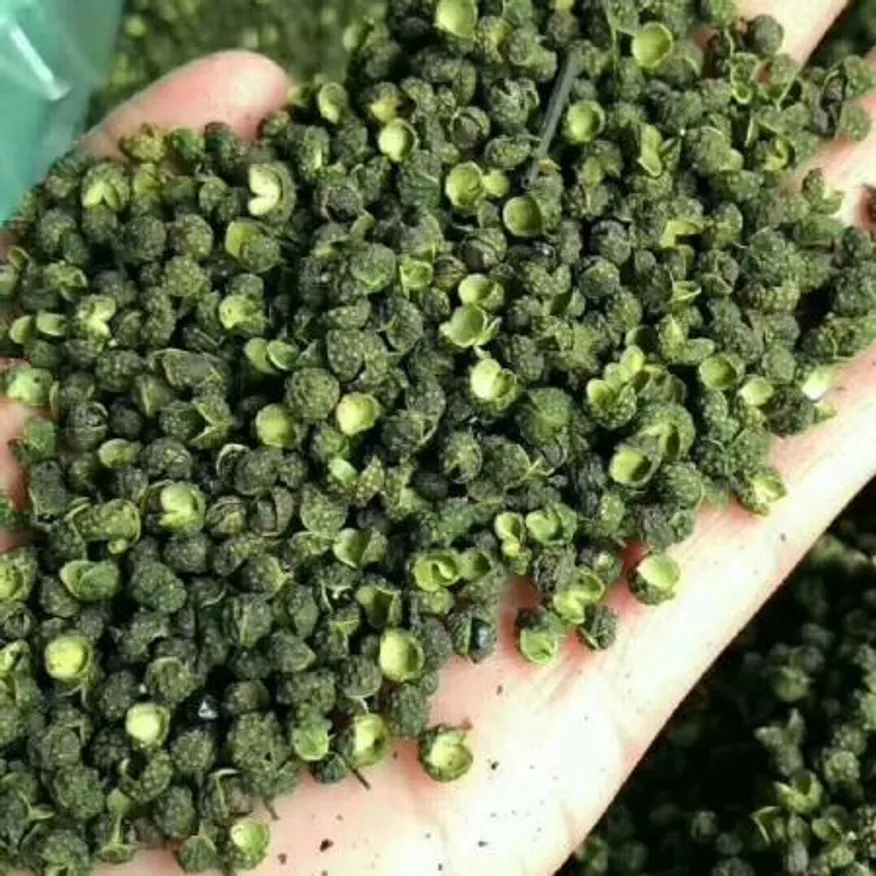 산초열매 마자오 마죠500g 이미지