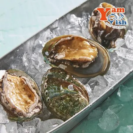 완도 활 전복 1kg 12미 산소포장 이미지