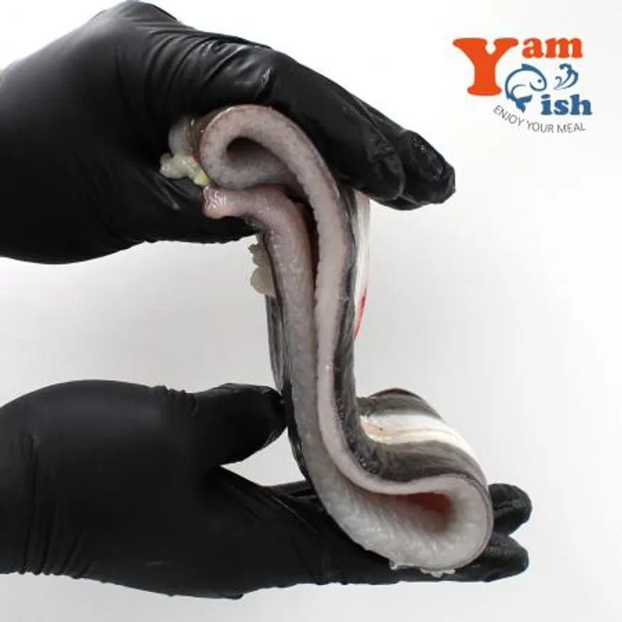 국산 자포니카 민물장어 1kg 3-4미 손질후 700g 내외(머리뼈 무) 이미지