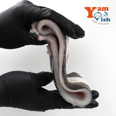 국산 자포니카 민물장어 1kg 3-4미 손질후 700g 내외(머리뼈 무) 이미지