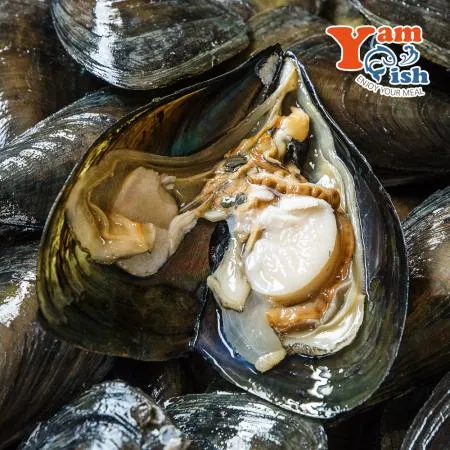 생물 키조개 미니 소 1마리 산소포장 캠핑 조개구이 이미지