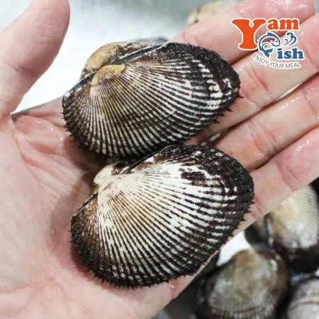 국내산 제철 남해안 피꼬막 3kg 이미지