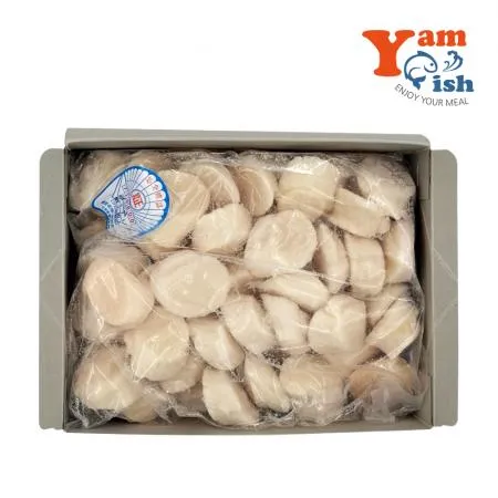 북해도 가리비관자 4s 1kg 프리미엄 냉동 가리비살 호타테가이 개아지살 이미지