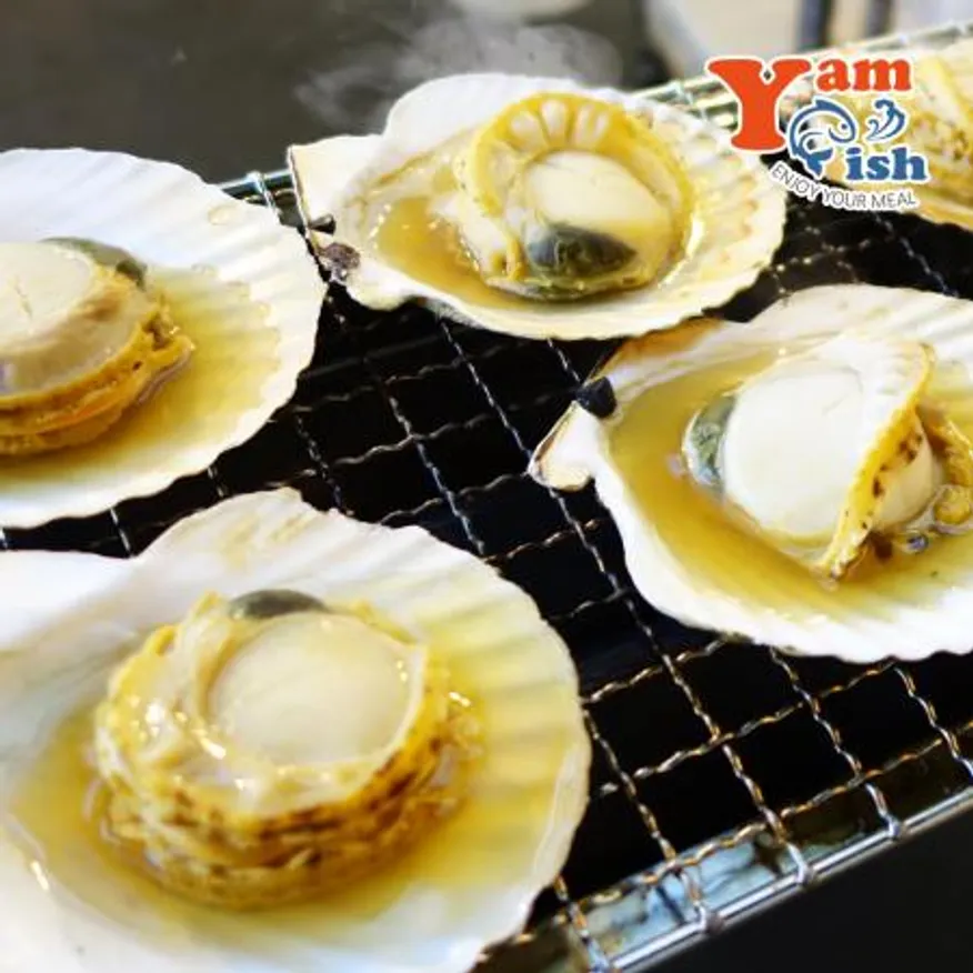 통영 홍가리비 대사이즈 3kg 이미지