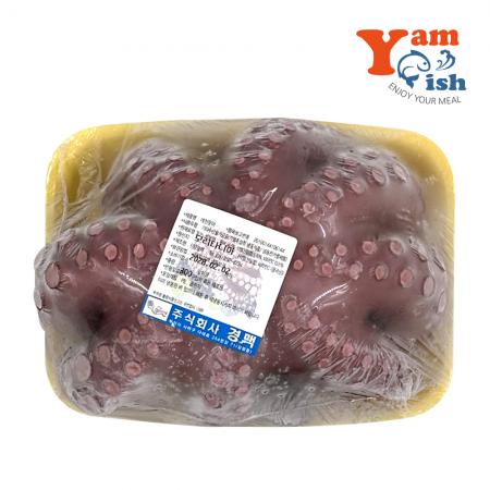 숙 모리타니아 돌문어 1kg-1.3kg 내외