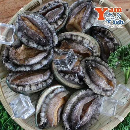 완도 활 전복 1kg 30미 산소포장 이미지