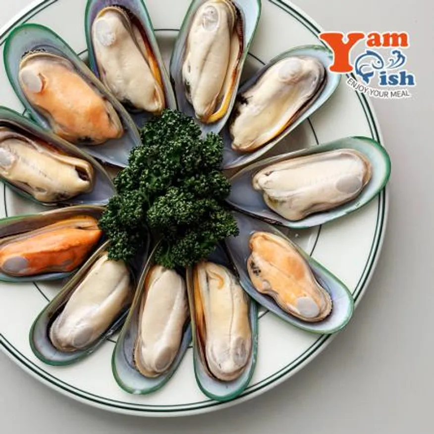 뉴질랜드 그린홍합 M 800g 반탈각 하프 그린홍합살 이미지