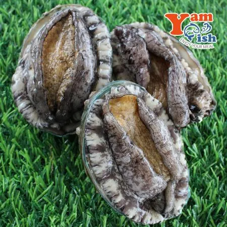 완도 활 전복 1kg 7미 특대 산소포장 이미지