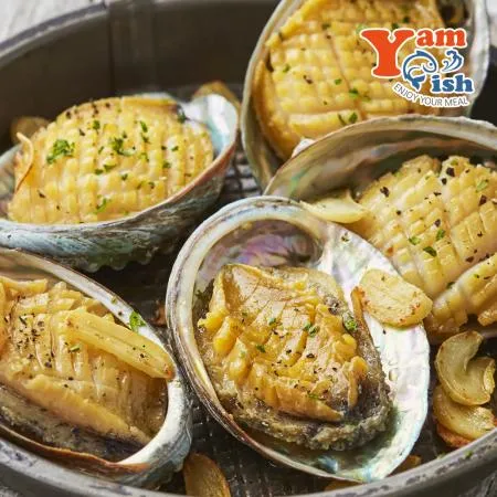 완도 활 전복 1kg 25미 이미지