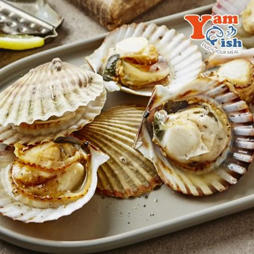 참가리비 2kg 9-11미 일본산 생물 산소포장 이미지