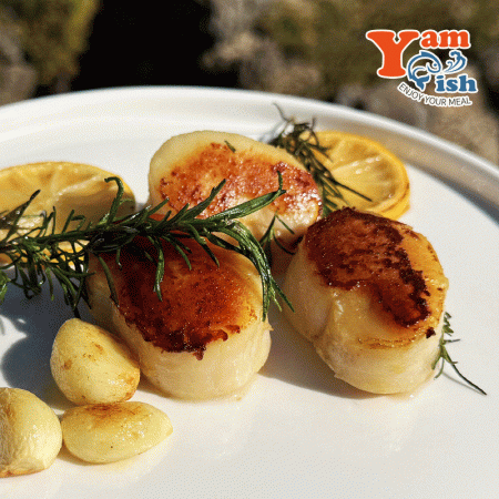 키조개 관자 800g 16/20 손질 개아지살 이미지